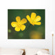 Two Flower Wall Mural