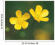 Two Flower Wall Mural