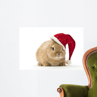 Rabbit with Santa Hat shown on a wall
