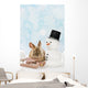 Kaninchen im Schnee 
