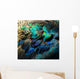 Colorful Peacock Feathers 