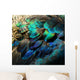 Colorful Peacock Feathers 