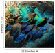 Colorful Peacock Feathers 