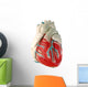 human heart (model) Wall Decal