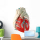 human heart (model) Wall Decal