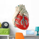human heart (model) Wall Decal