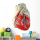 human heart (model) Wall Decal