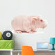 Hairless Cavy Wall Decal