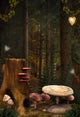 Enchanted nature series - Enchanted mushrooms place 