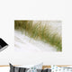 Herbarium Wall Mural