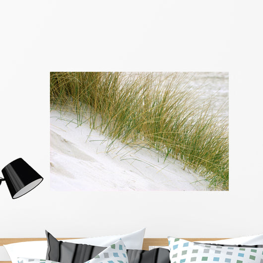 Herbarium Wall Mural