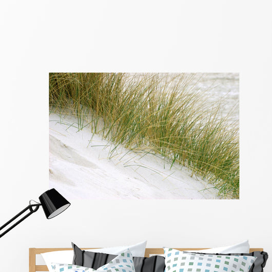 Herbarium Wall Mural