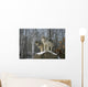 Grey wolves Wall Mural