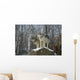 Grey wolves Wall Mural