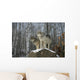 Grey wolves Wall Mural