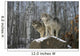 Grey wolves Wall Mural