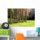 Landscape Wall Mural