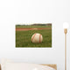 Baseball Grass Wall Decal