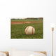 Baseball Grass Wall Decal