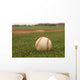 Baseball Grass Wall Decal