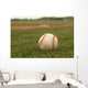 Baseball Grass Wall Decal