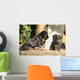 Gorgeous Puppy Looking Itself Wall Decal