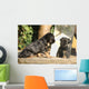 Gorgeous Puppy Looking Itself Wall Decal