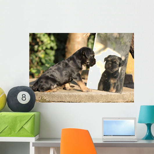 Gorgeous Puppy Looking Itself Wall Decal
