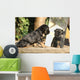 Gorgeous Puppy Looking Itself Wall Decal