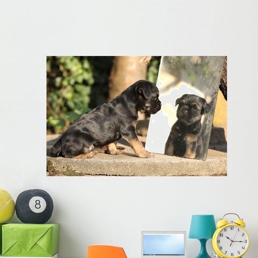 Gorgeous Puppy Looking Itself Wall Decal