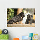 Gorgeous Puppy Looking Itself Wall Decal