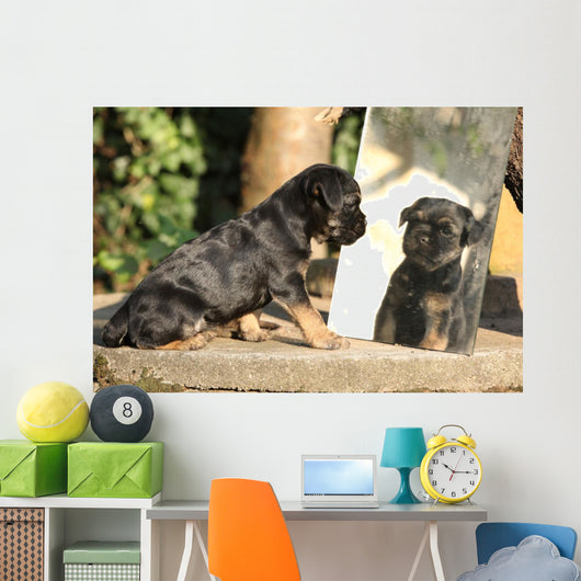 Gorgeous Puppy Looking Itself Wall Decal