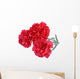Carnation flowers isolated on white background Wall Decal