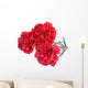 Carnation flowers isolated on white background Wall Decal