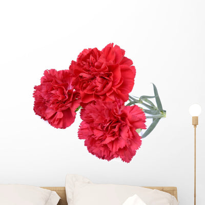 Carnation Flowers White Wall Decal shown on a wall