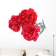 Carnation flowers isolated on white background Wall Decal