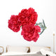Carnation flowers isolated on white background Wall Decal