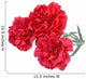 Carnation flowers isolated on white background Wall Decal