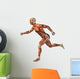 3D human man anatomy for health or medicine Wall Decal