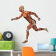 3D human man anatomy for health or medicine Wall Decal