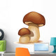 Two Ceps Isolated on a White Background Wall Decal