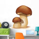 Two Ceps Isolated on a White Background Wall Decal