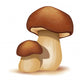 Two Ceps Isolated on a White Background Wall Decal
