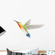 Hummingbird on a White Background Wall Decal
