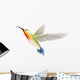 Hummingbird on a White Background Wall Decal