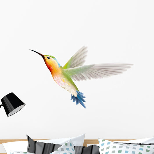 Hummingbird on a White Background Wall Decal