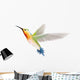 Hummingbird on a White Background Wall Decal