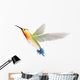Hummingbird on a White Background Wall Decal