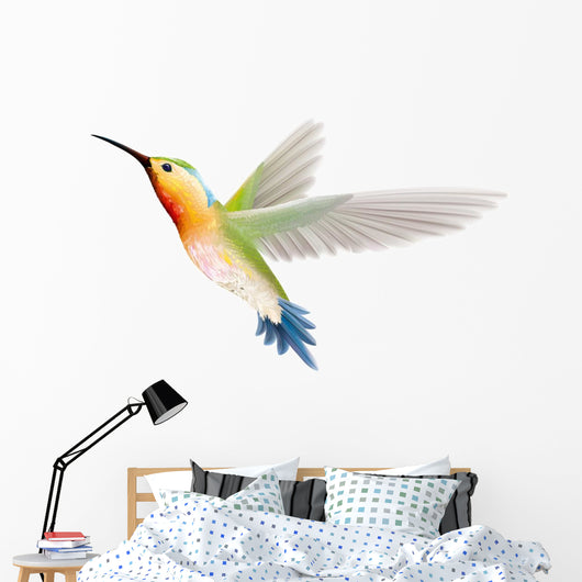 Hummingbird on a White Background Wall Decal