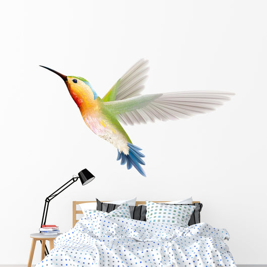 Hummingbird on a White Background Wall Decal